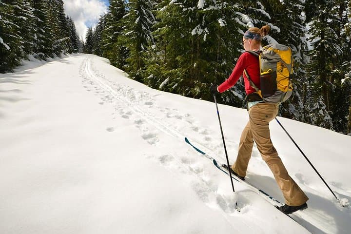 Half-Day Guided Backcountry Ski Touring Experience near Incline Village — supplier photograph 1