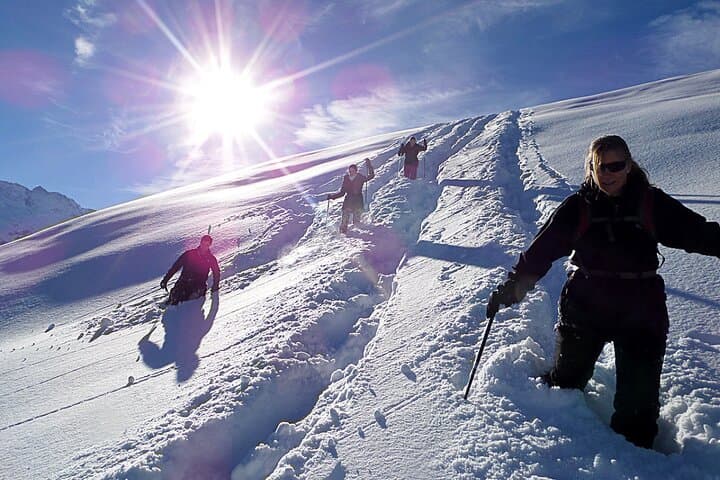 Scenic Snowshoe Adventure in South Lake Tahoe, CA — supplier photograph 1