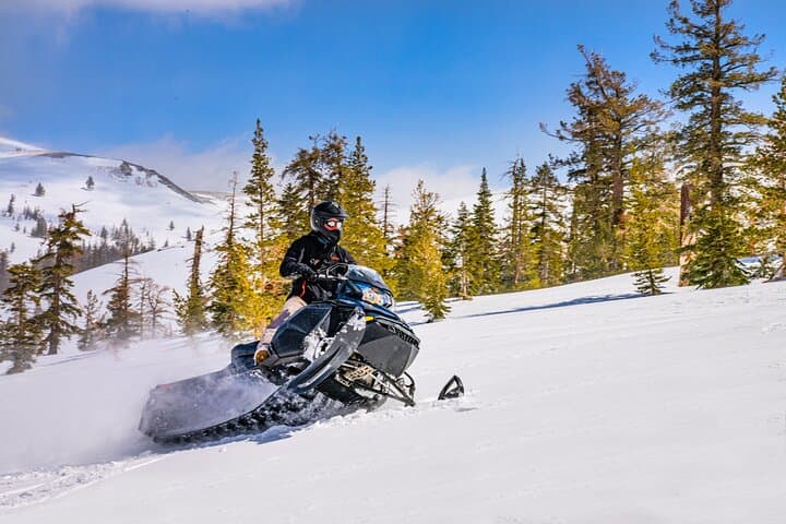Tahoe Summit Snowmobiling Tours — supplier photograph 1